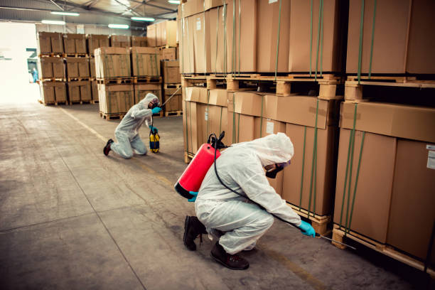Best Wildlife Control Services  in Smithton, IL