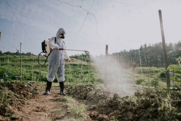Pest Control Cost in Smithton, IL
