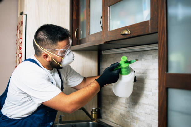 Best Flea Control Services  in Smithton, IL