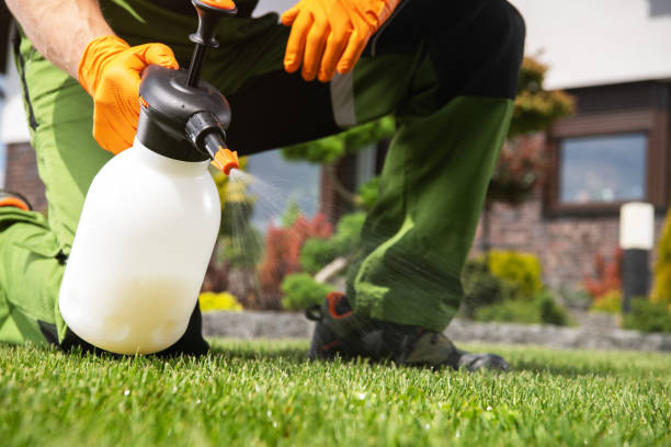 Best Best Pest Control Companies  in Smithton, IL