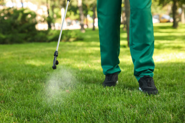 Professional Pest Control in Smithton, IL