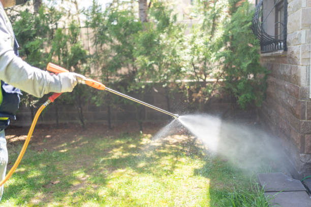 Best Emergency Pest Control  in Smithton, IL