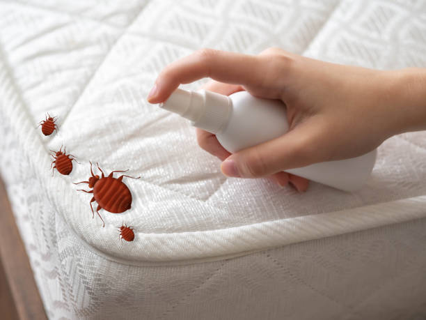 Best Pest Control Near Me  in Smithton, IL
