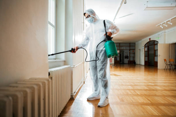 Best Mosquito Control Services  in Smithton, IL