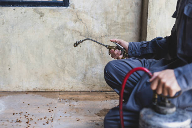 Best Cockroach Control Services  in Smithton, IL